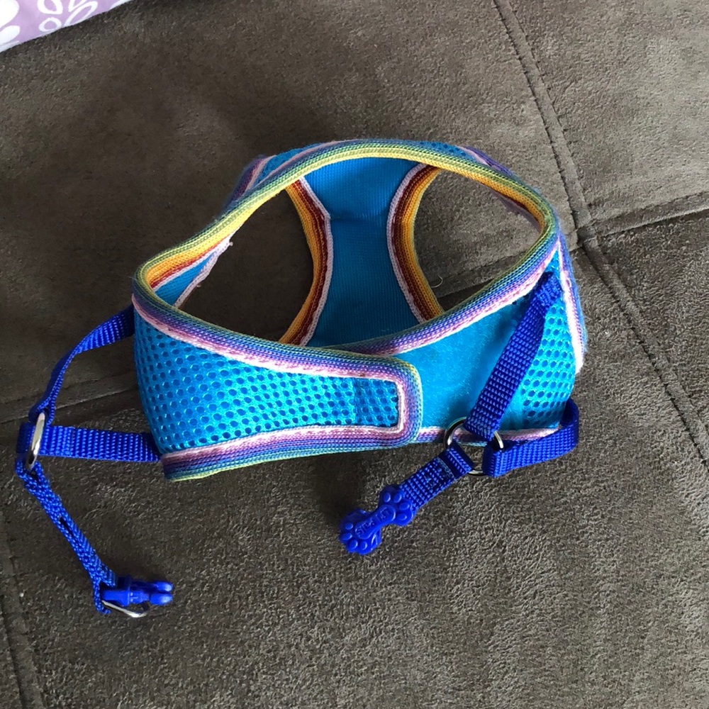 Cat/ Small dog harness.